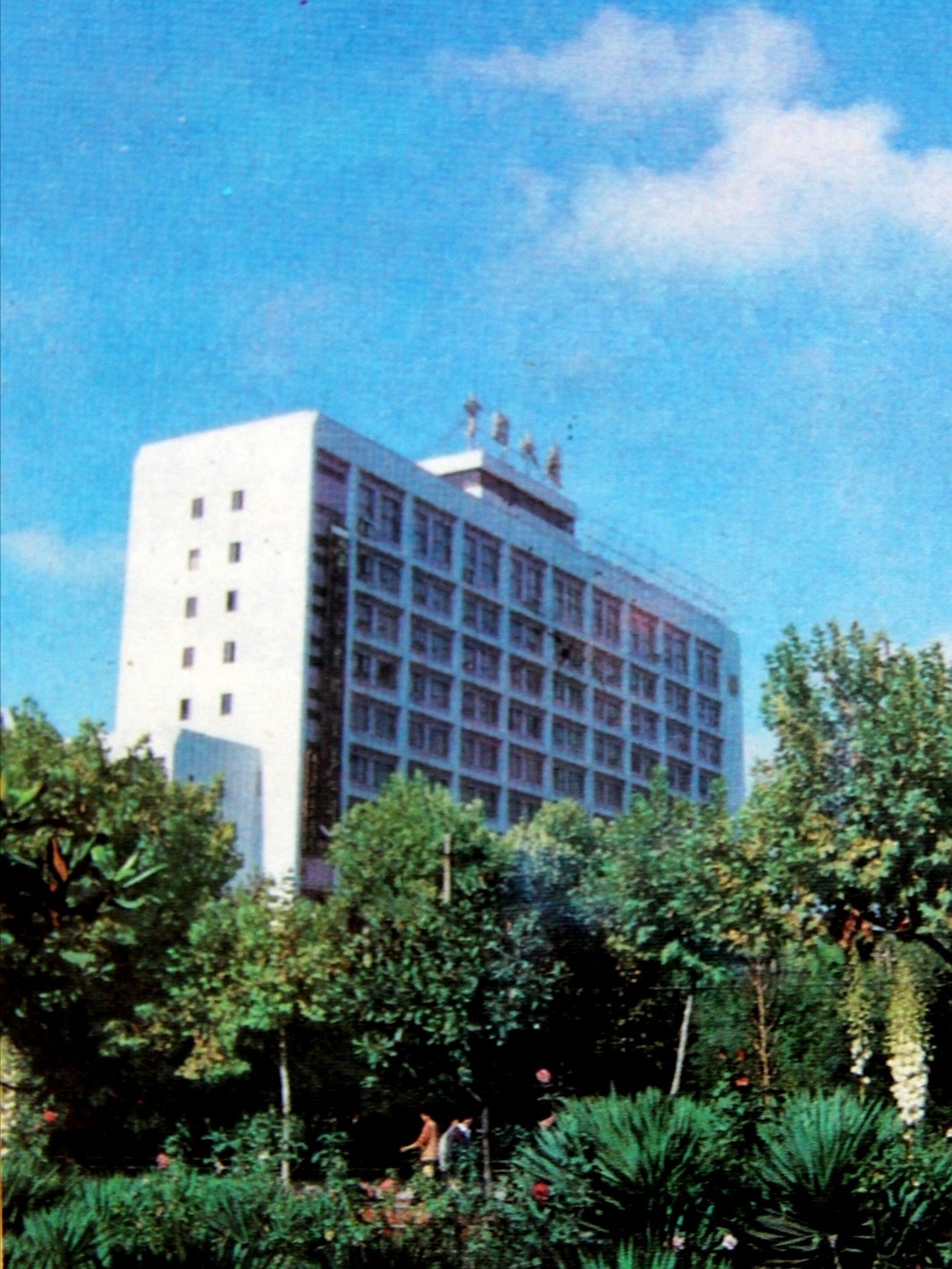 1770175602186961.jpg 114.jpg